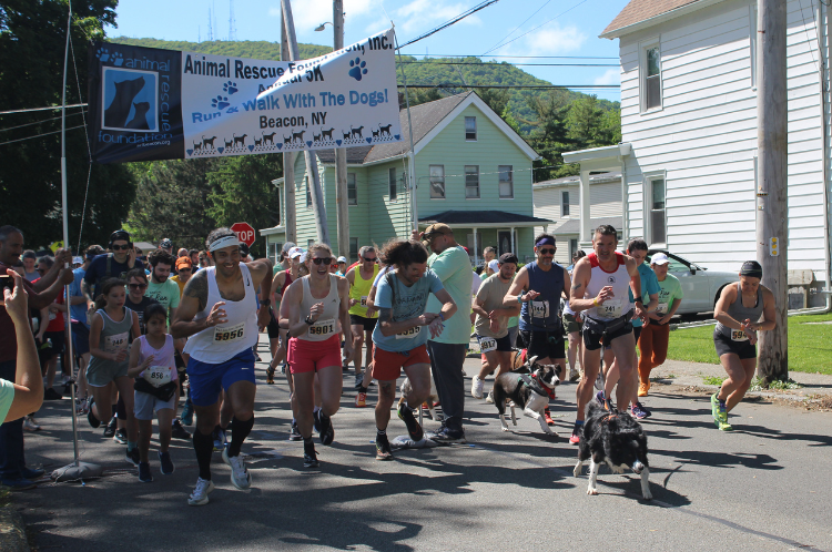5K Run & Walk with the Dogs – Animal Rescue Foundation