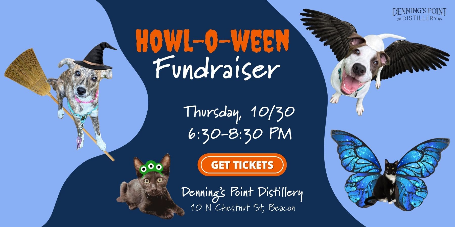 Howl-o-Ween is ARF's fall fundraiser at Denning's Point Distillery in Beacon, NY on October 30.