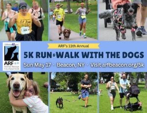 5K Run & Walk with the Dogs 2026 – Animal Rescue Foundation